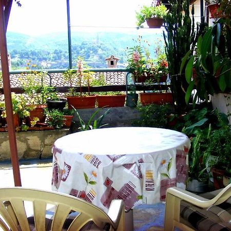 Authentic Guest Stay In The Heart Of Veliko Tarnovo Студио С Изглед Към Царевец Exteriör bild