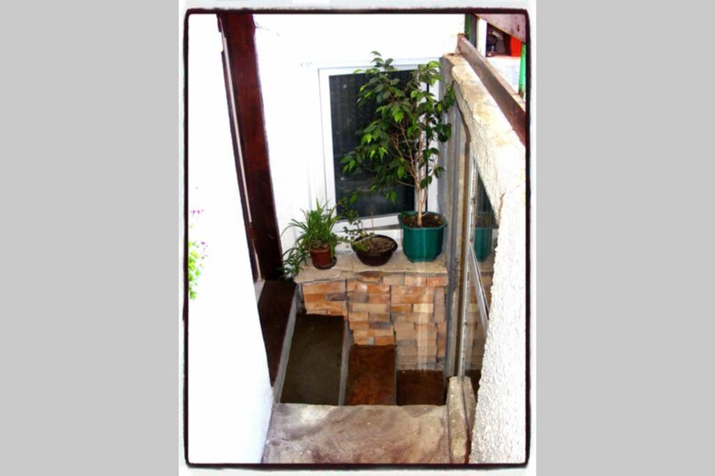 Authentic Guest Stay In The Heart Of Veliko Tarnovo Студио С Изглед Към Царевец Exteriör bild